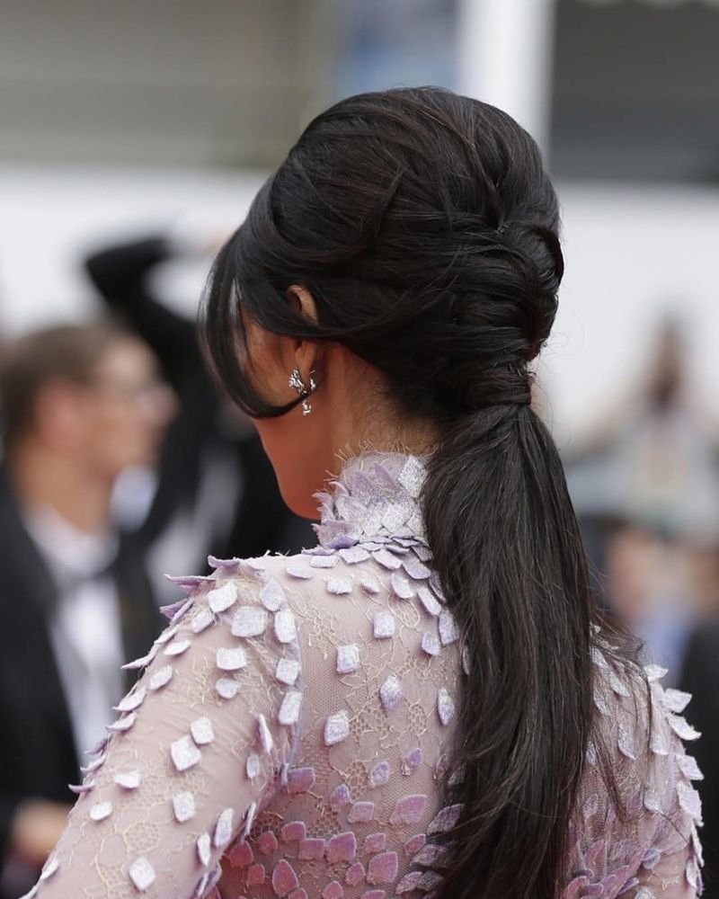 Elegant Braided Ponytail