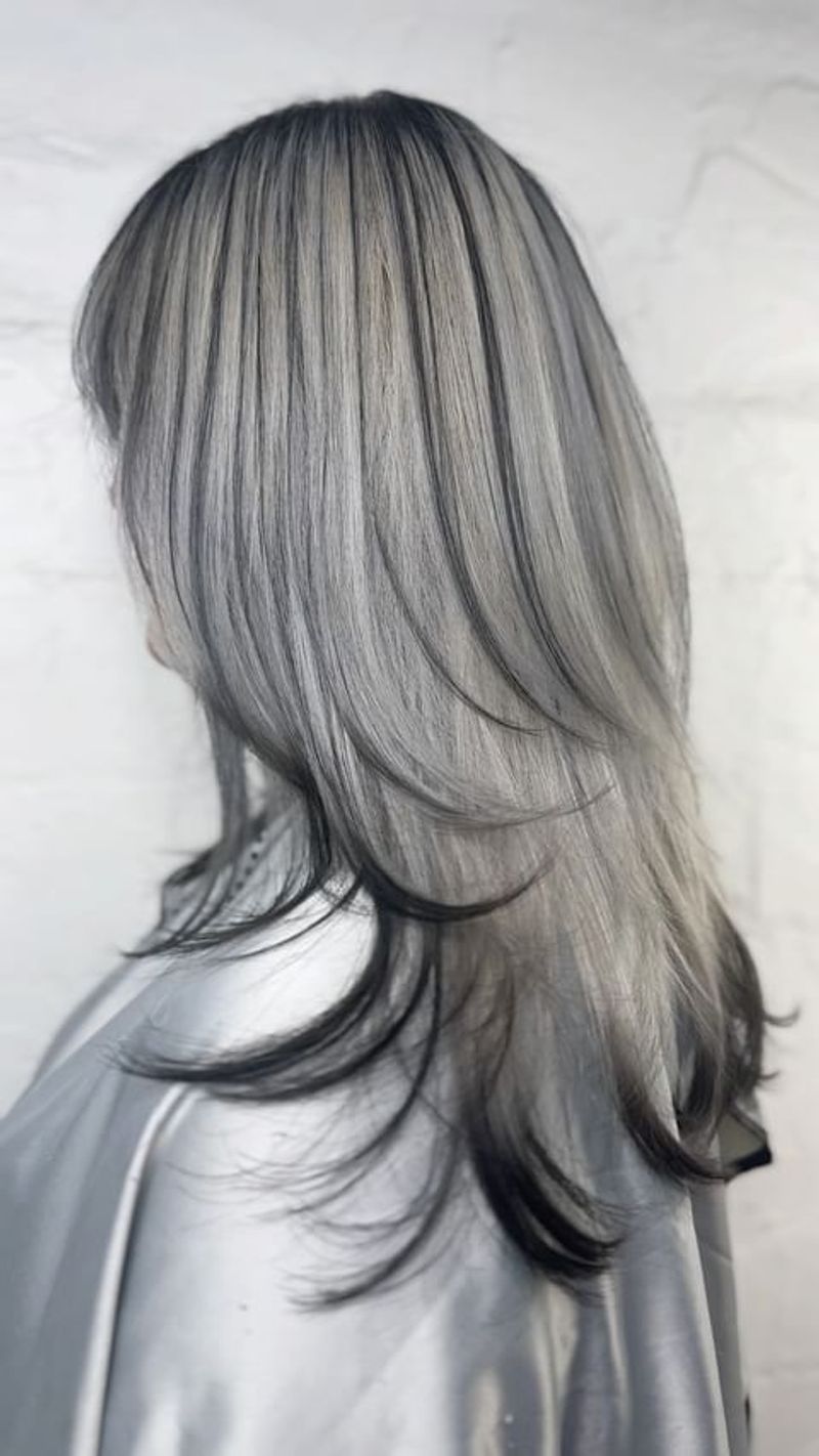 Frosted Silver Highlights