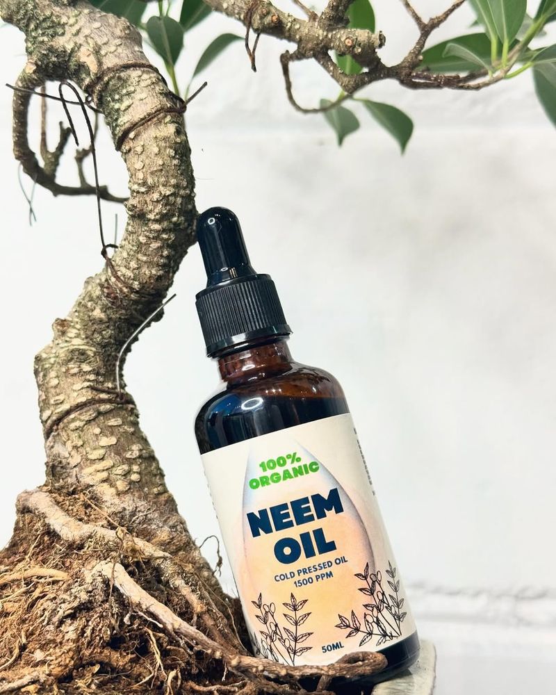 Olio di Neem