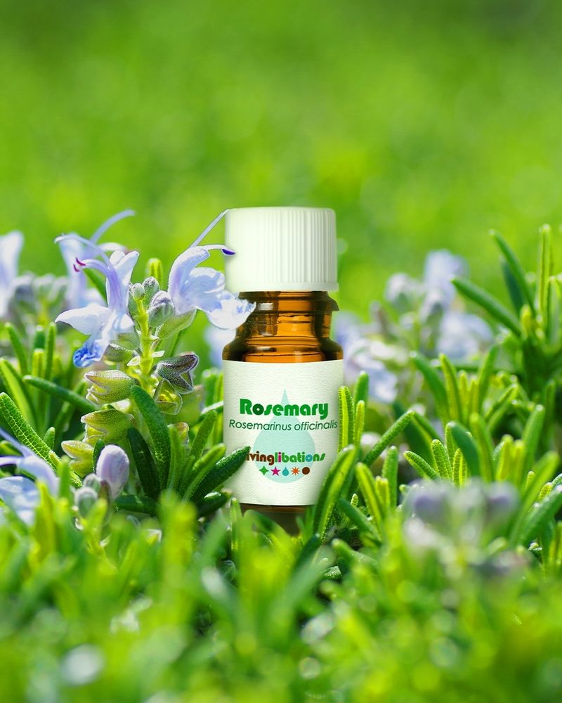 Rosemary Essential Oil