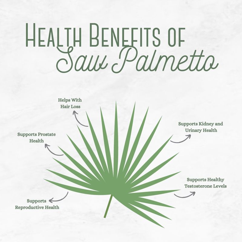 Saw Palmetto