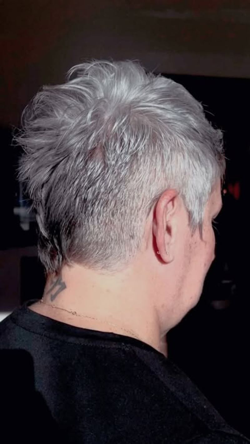 Silver Faux Hawk