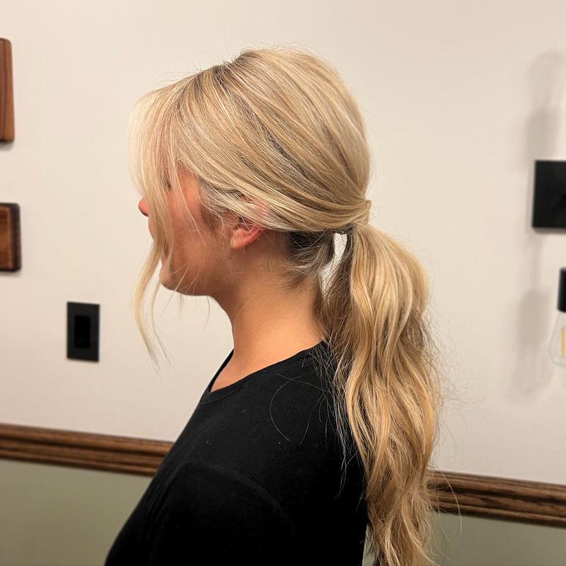 Simple Ponytail