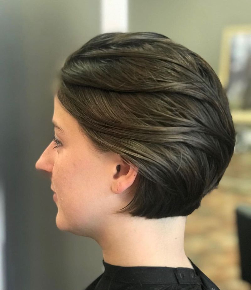 Sleek Pixie Bob