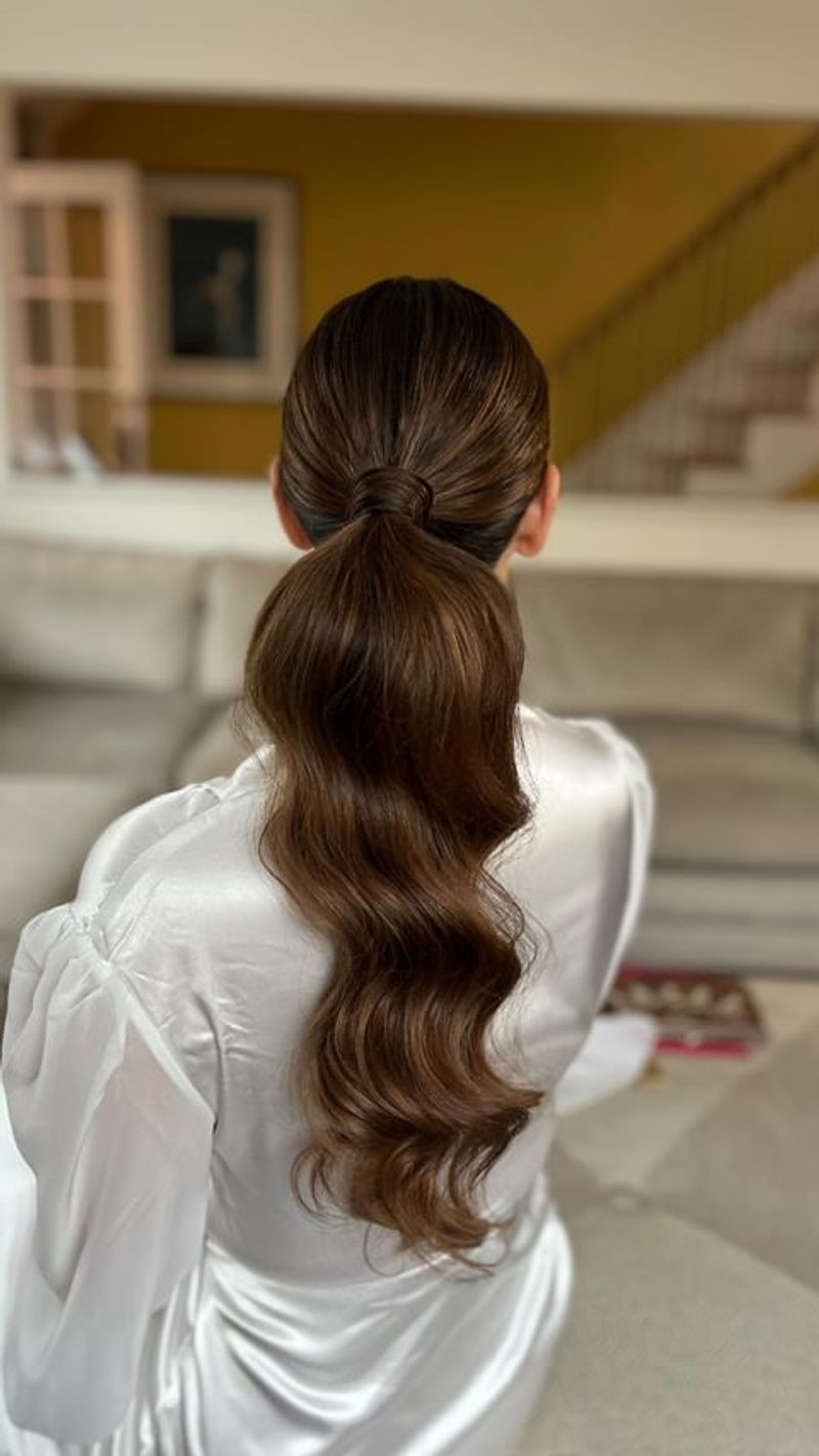 Sleek Ponytail