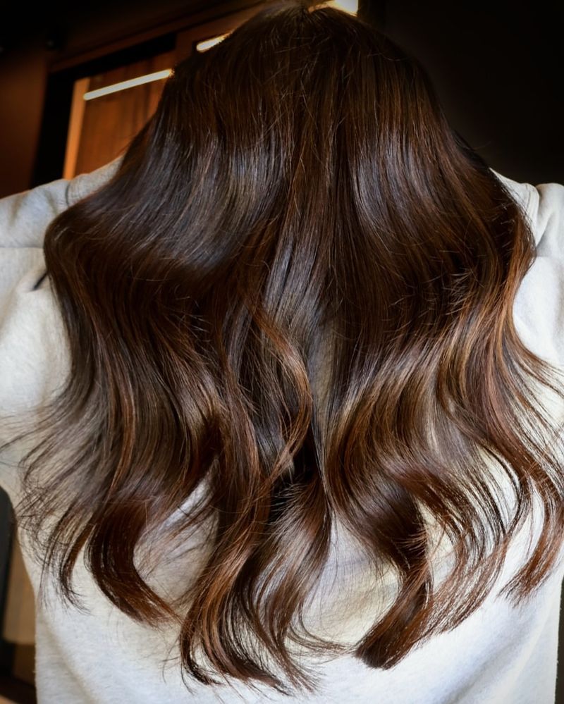 Velvet Brown Balayage