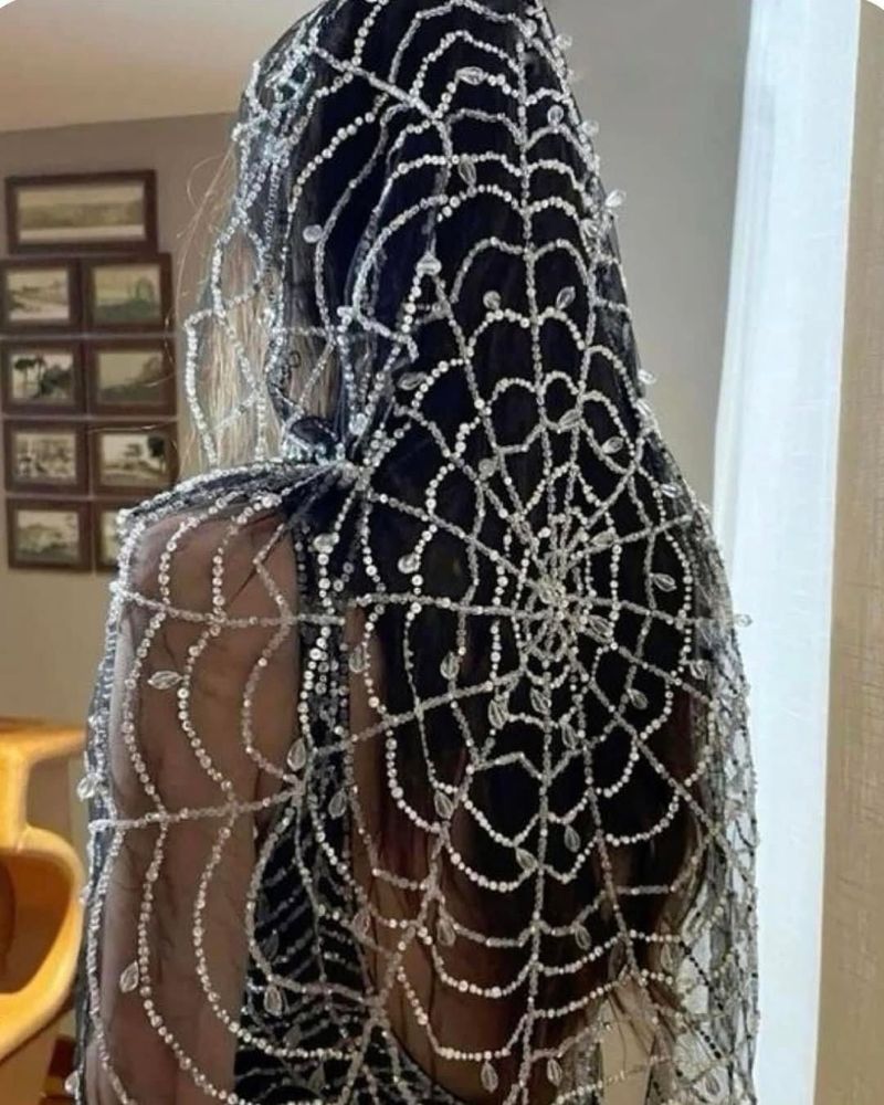 Enchanting Spiderweb Veil