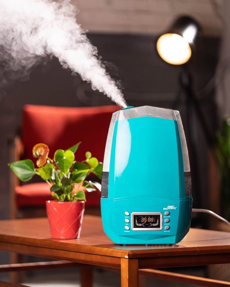 Utilice un humidificador