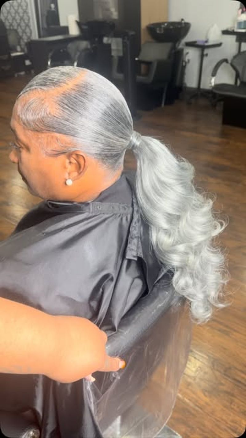 Silver Sleek Ponytail