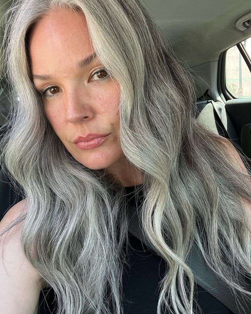 Silver Fox