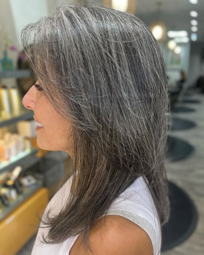 Smoky Gray Highlights