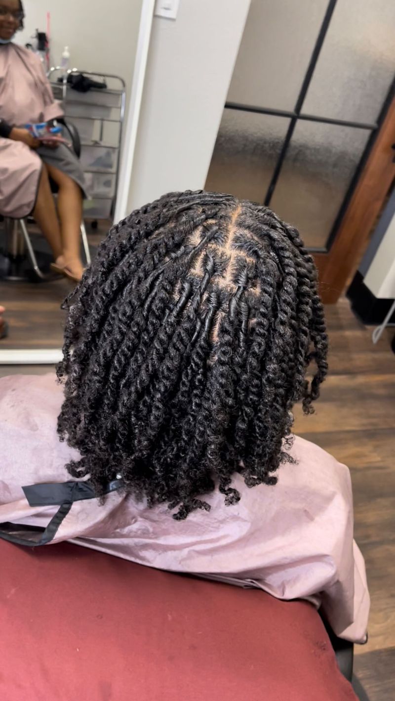 Starter Locs with Two-Strand Twists