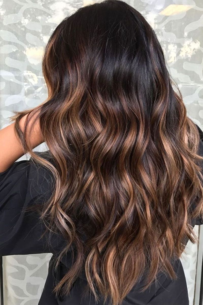 Tortoiseshell Highlights