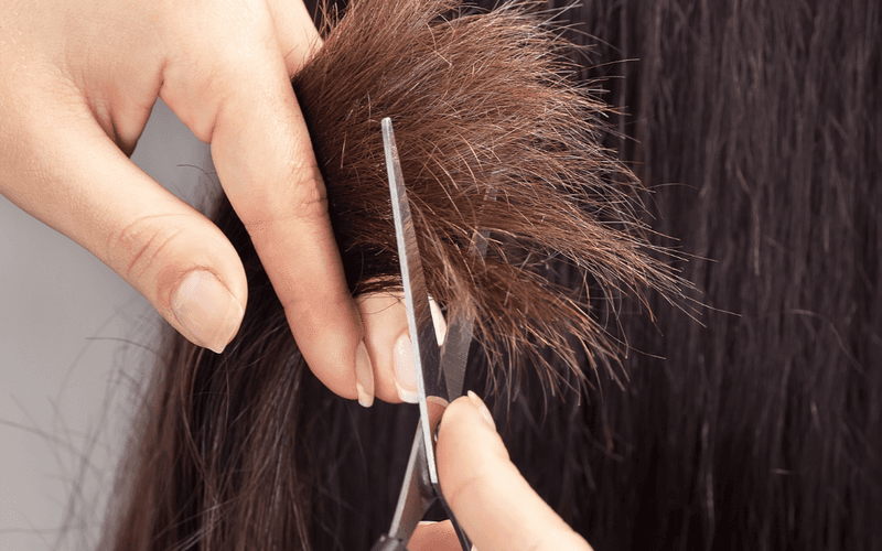 Lack of Regular Trims