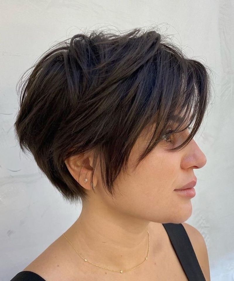 Pixie Bob