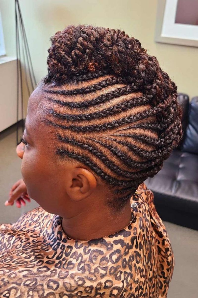 Cresta Mohawk