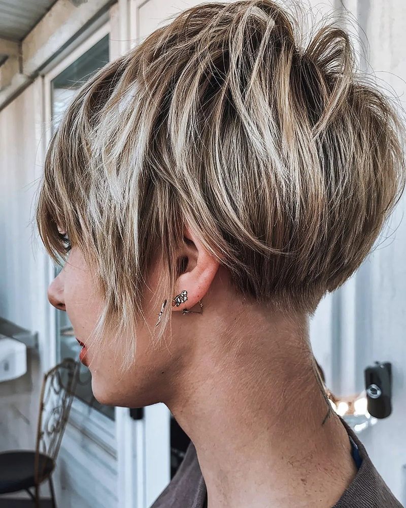 Tapered Pixie-Bob Hybrid
