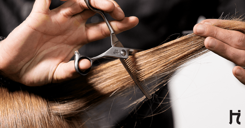 Blend with Thinning Shears