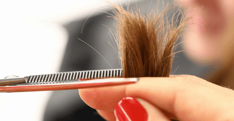Regular Trims Prevent Split Ends