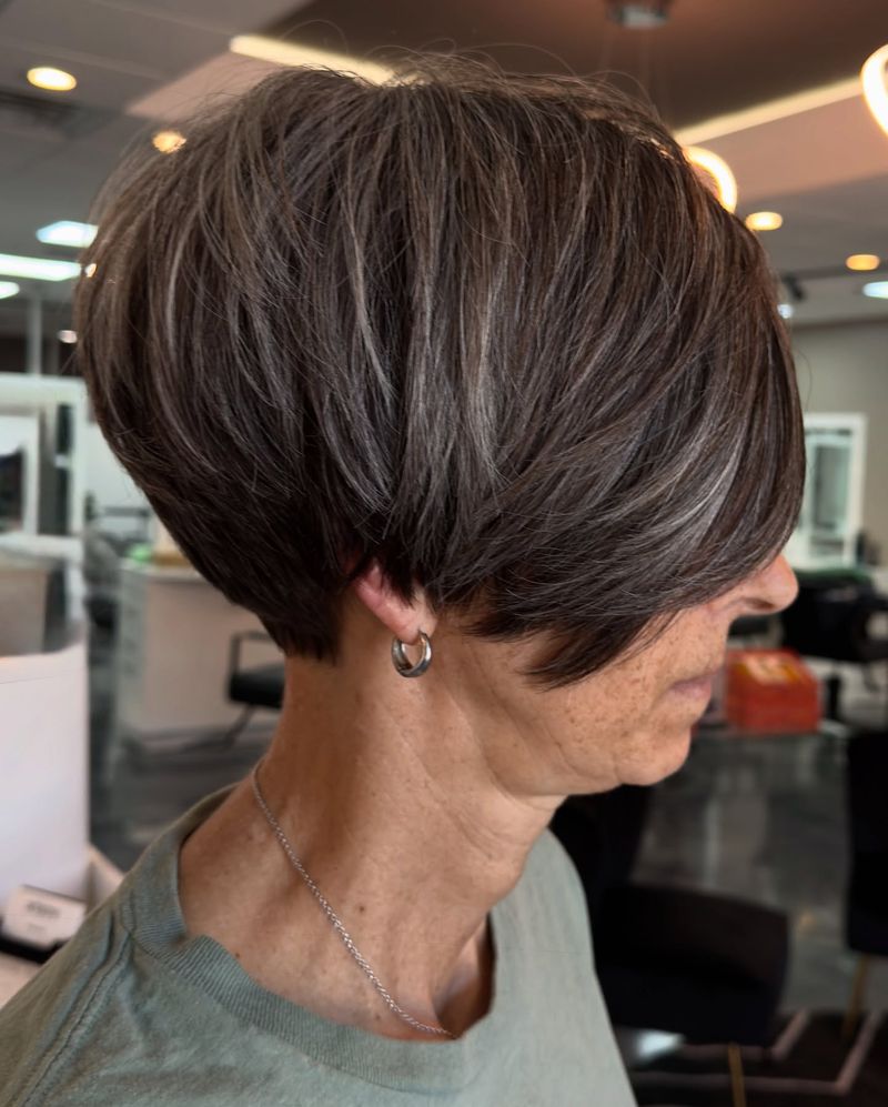 Tousled Pixie-Bob Hybrid