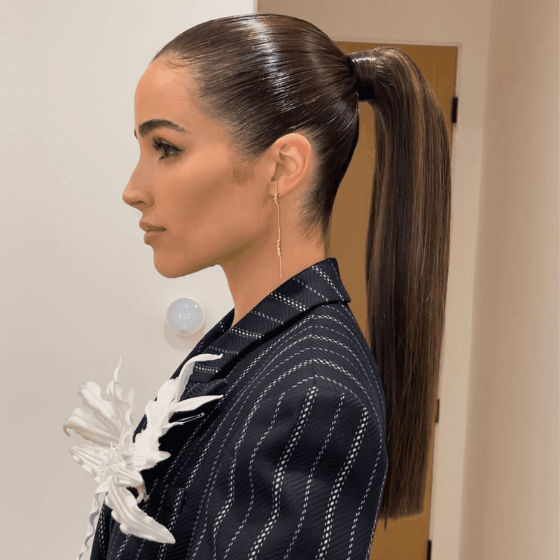 Sleek High Ponytail