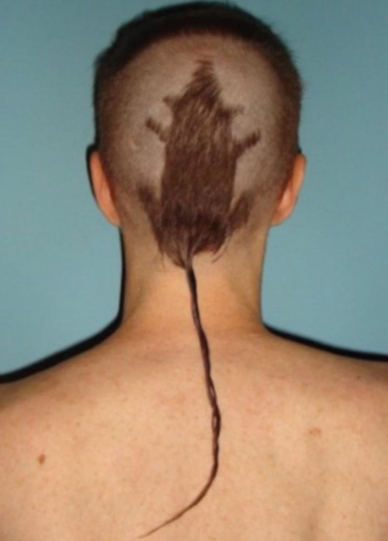 Rattail Regret