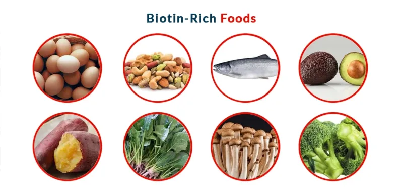 Hair-Friendly Diet Nourishes From Within