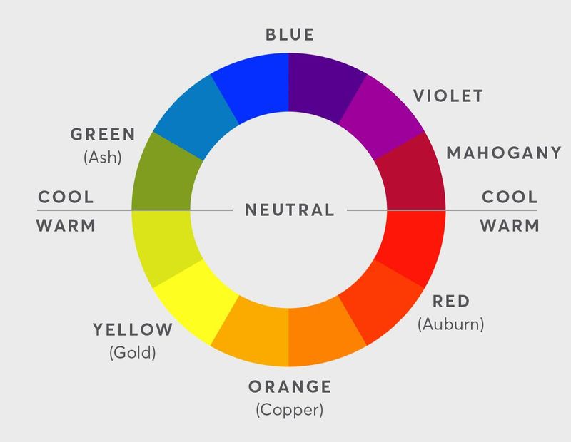 Toning Shampoo Color Wheel