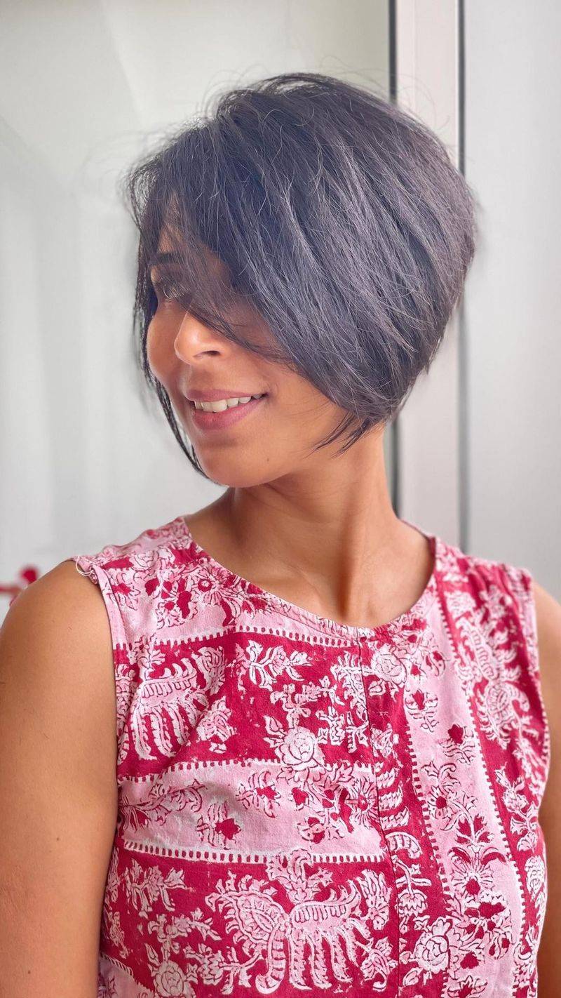 Pixie-Bob Hybrid