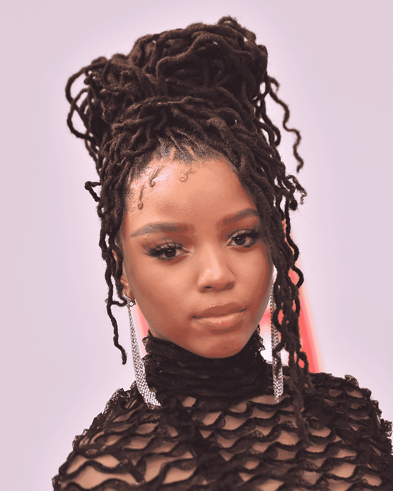 Loc Updo