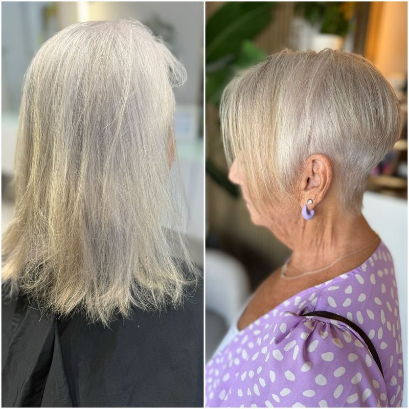 Silver Fox Elegance