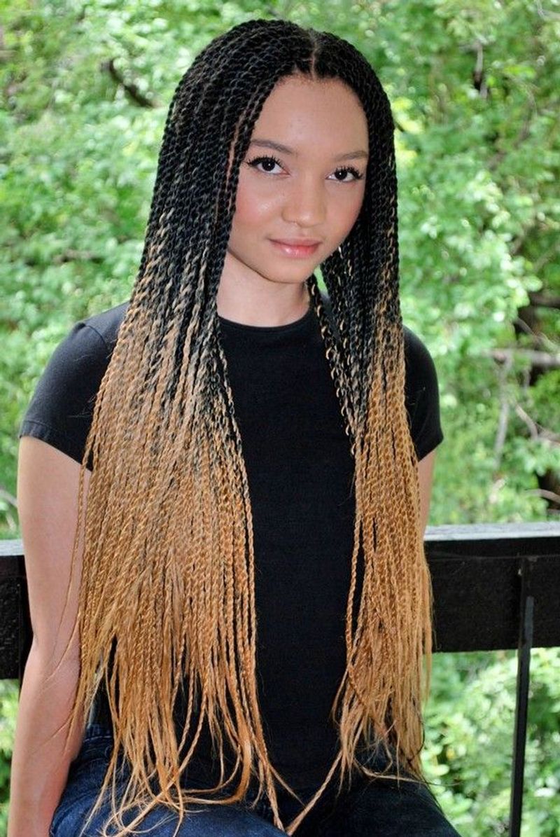 Honey-Dipped Protective Braids