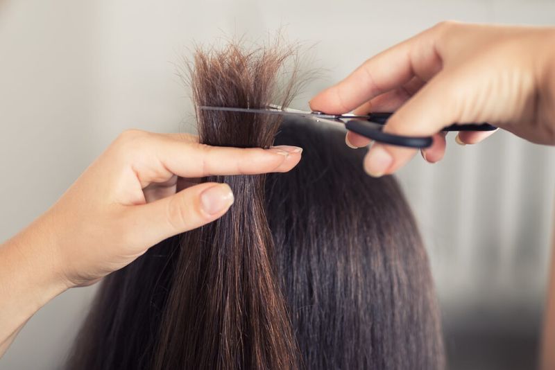 Regular Trims Schedule