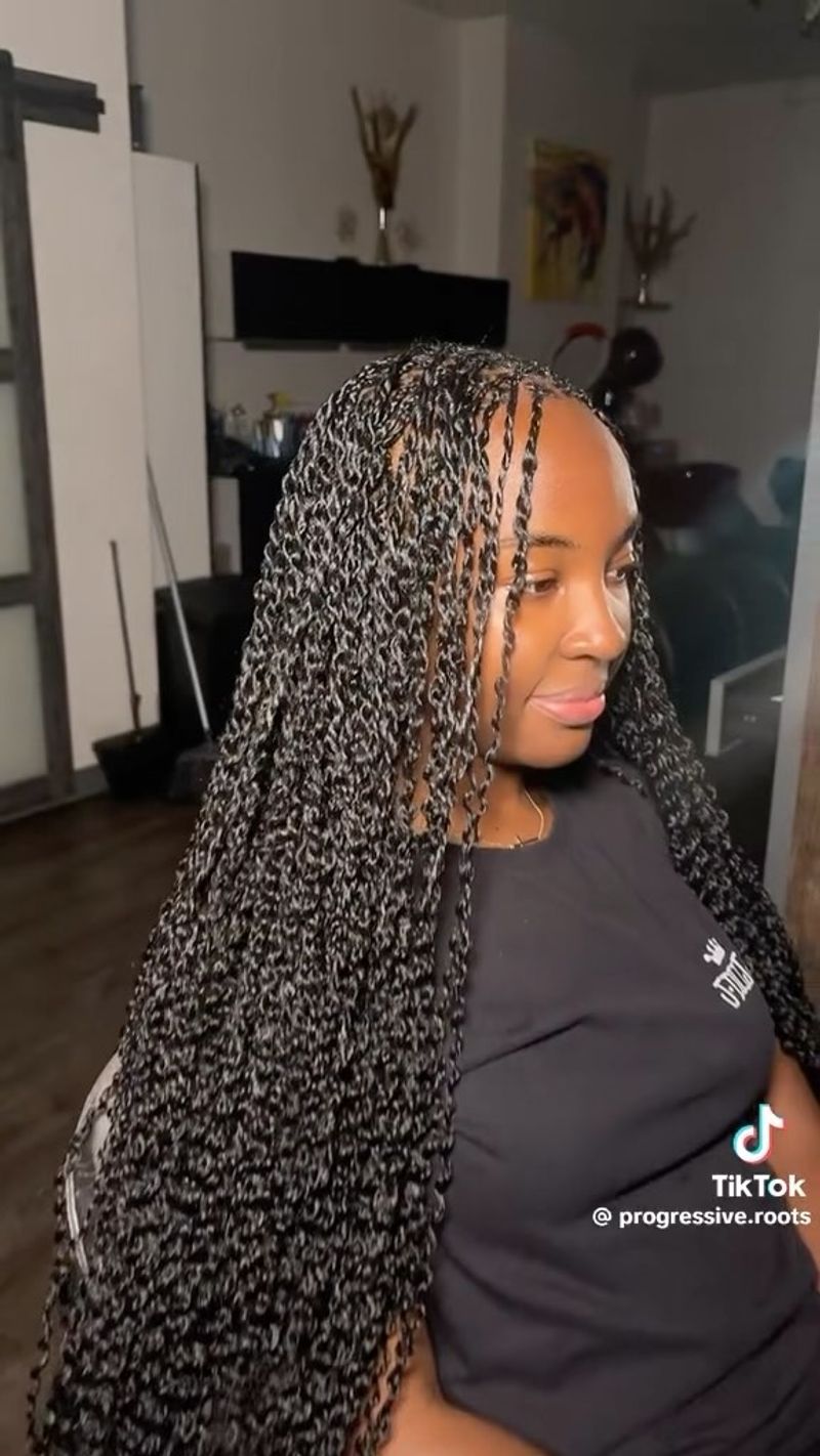 Micro Braids 2.0