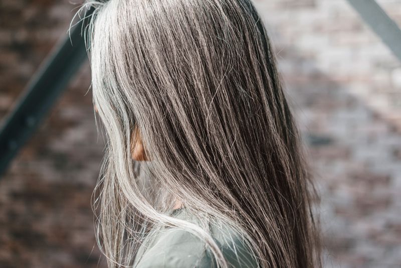 Gray Strands Playing Hide and Seek