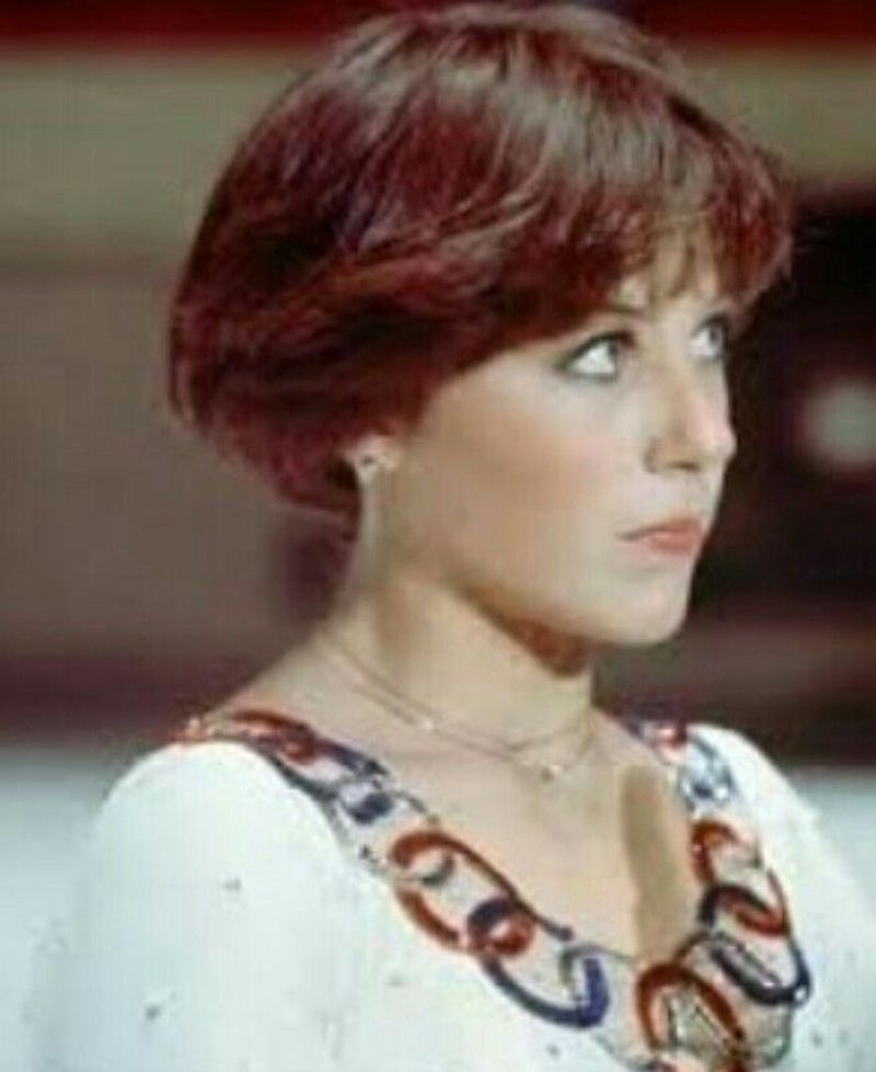 La cuña