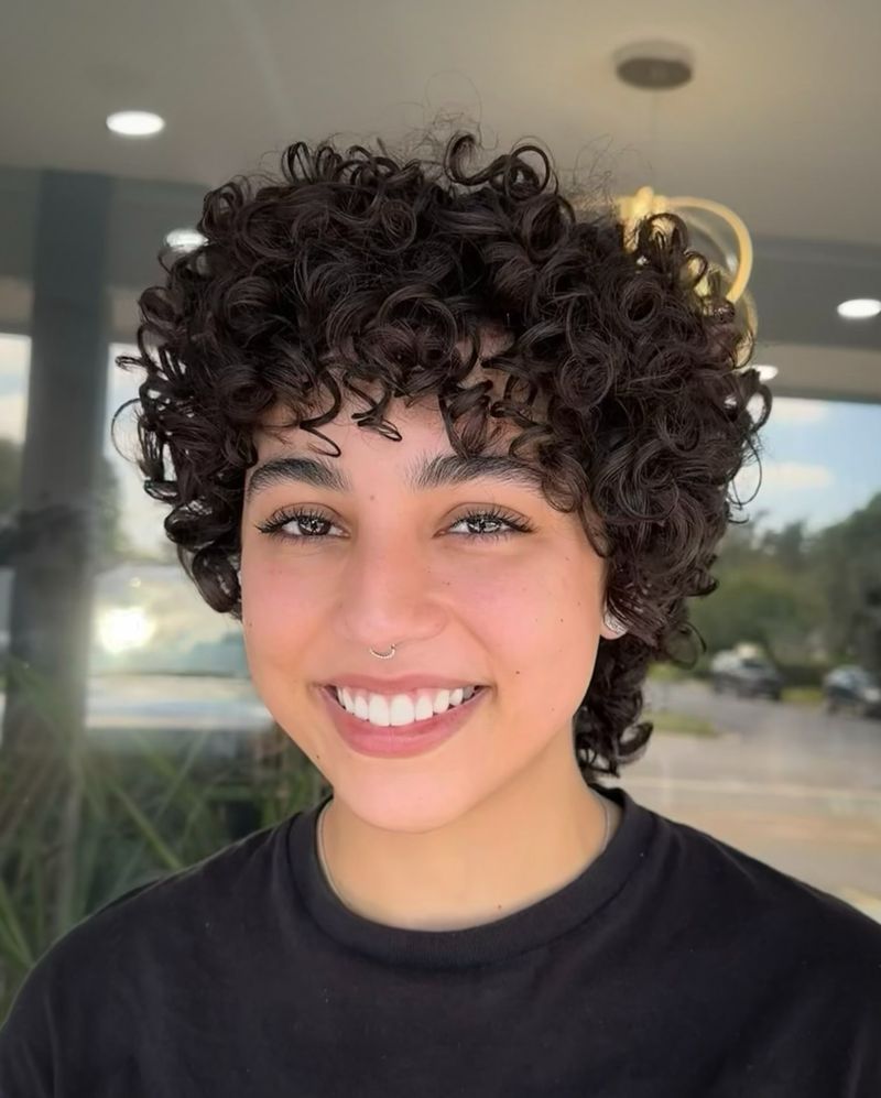 Pixie Bob rizado
