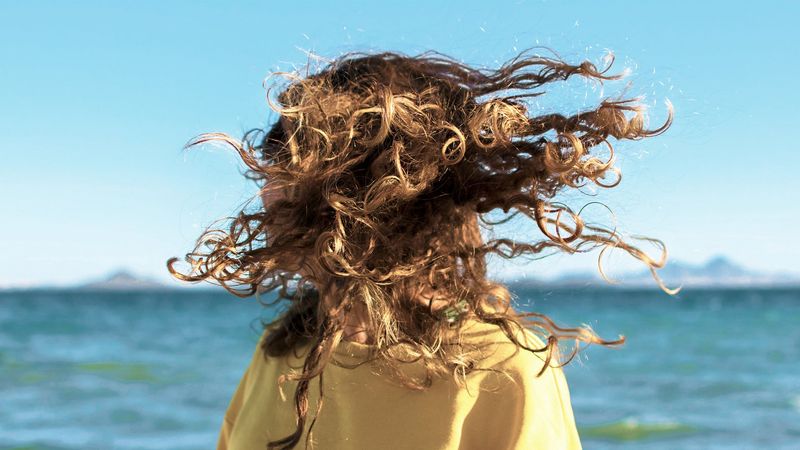 The Humidity Response