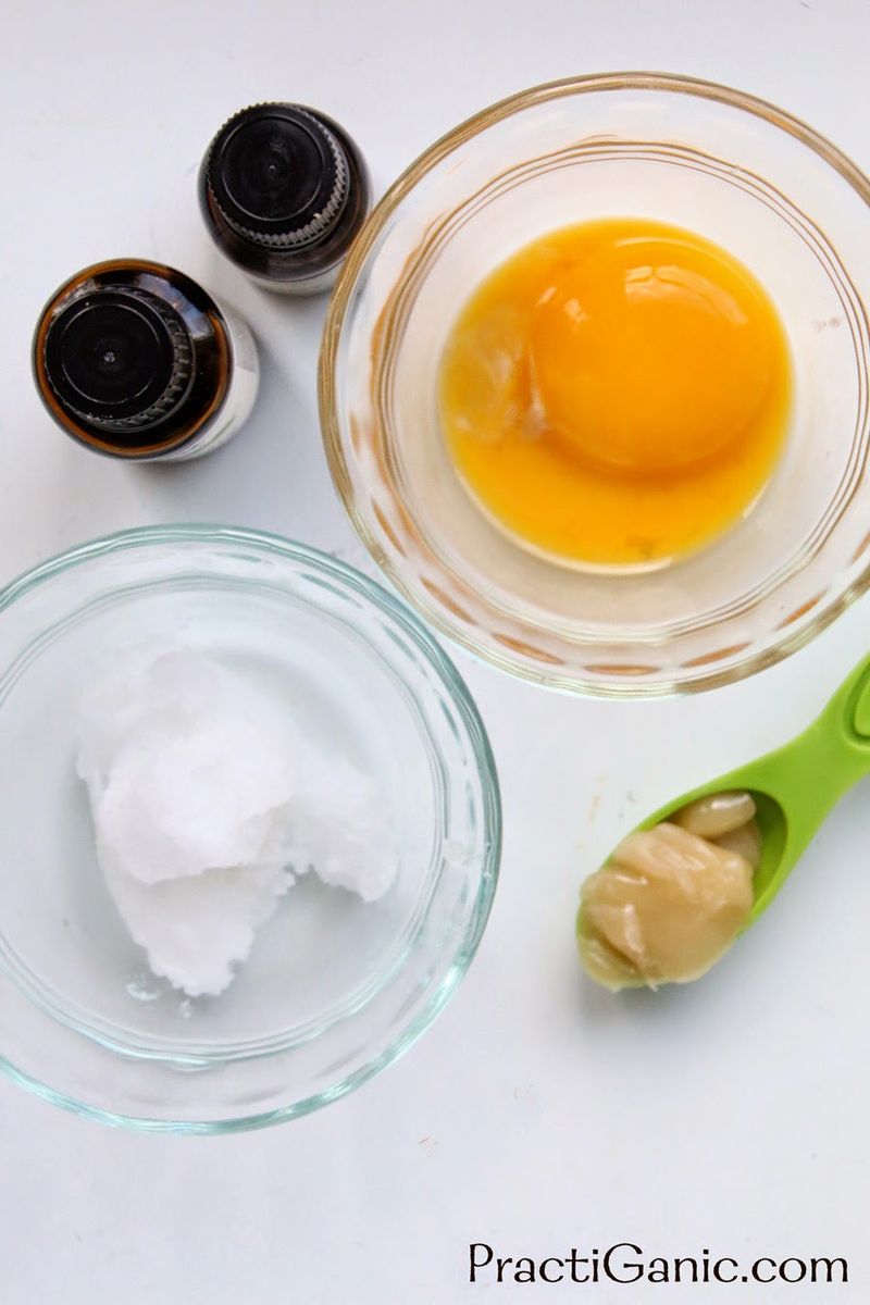 Egg and Honey Fusion