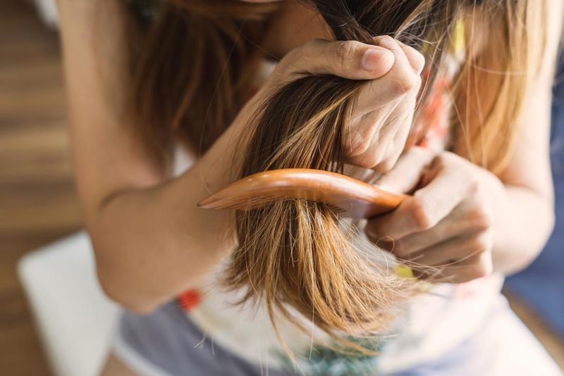 Brushing From The Roots