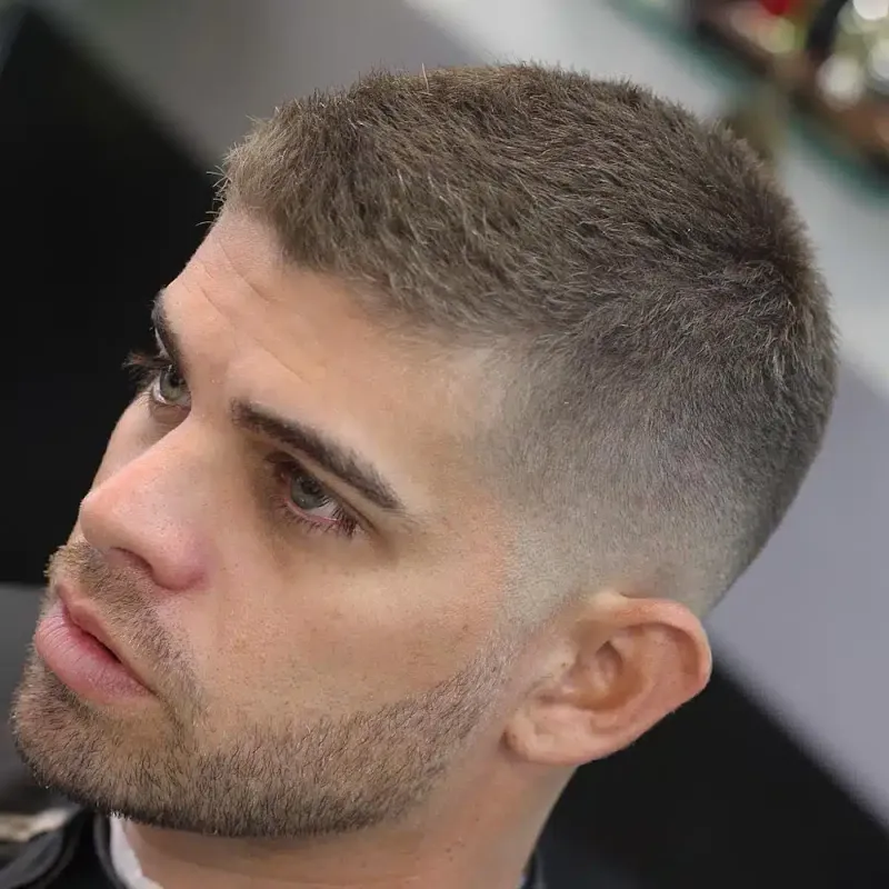 Crew Cut