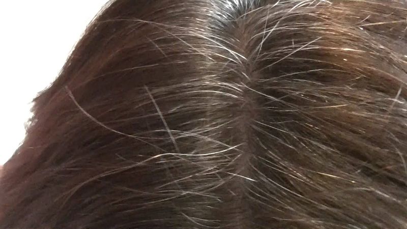 Walnut Shell Dye