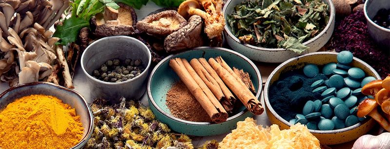 Hormone-Balancing Herbs