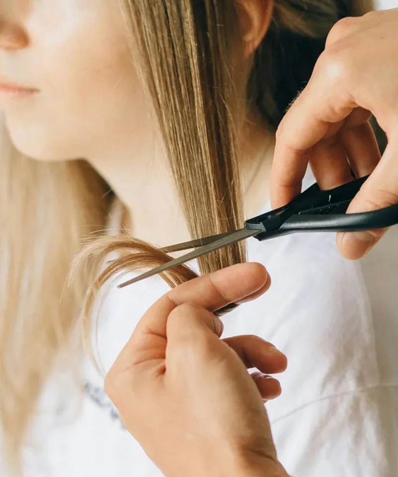 Trim Regularly (But Minimally)