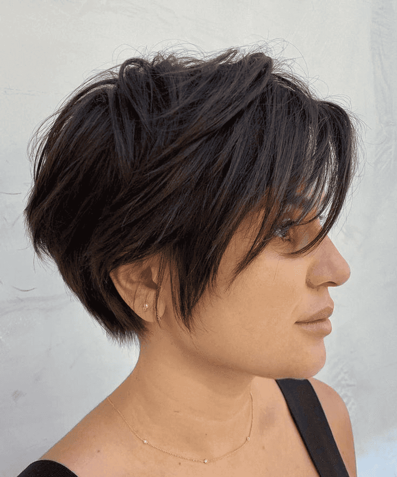 Pixie Bob hybride