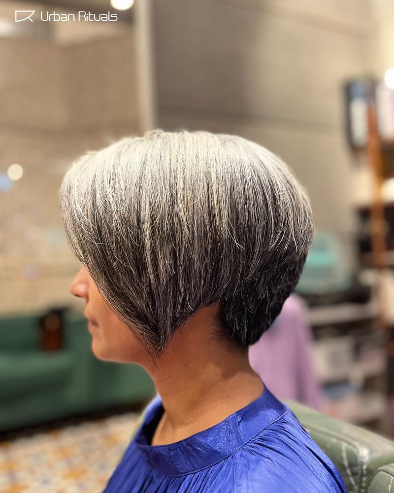 Tapered Pixie-Bob