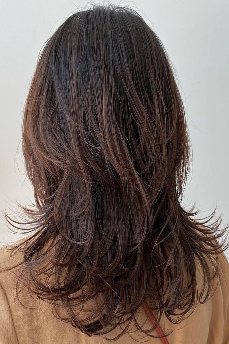 Hushed Shag Elements