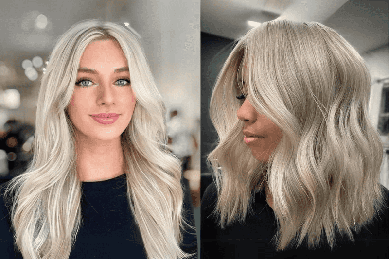Platinum Fox