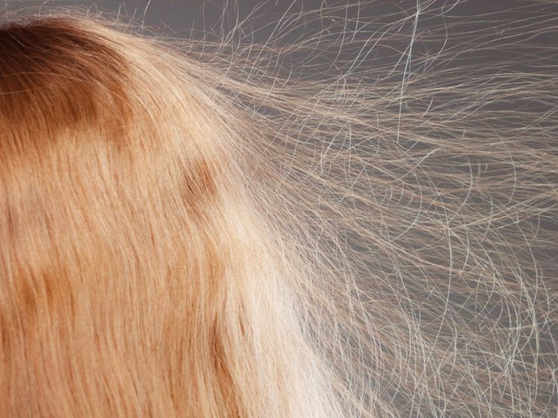 Static Electricity: Your Hair's Favorite Party Trick