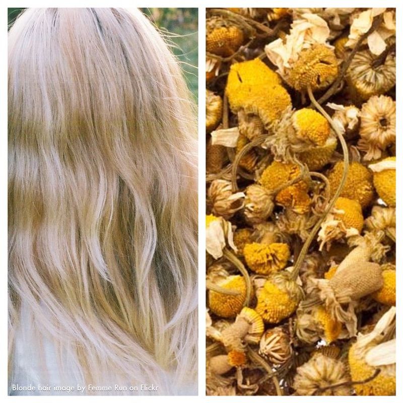 Chamomile Tea Blonde Enhancer